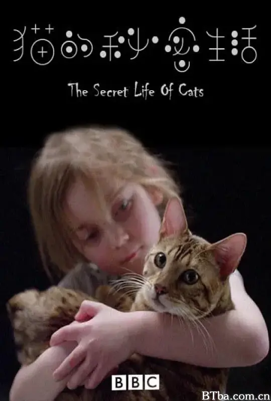 猫猫的奇妙世界/Secret Life of Cats