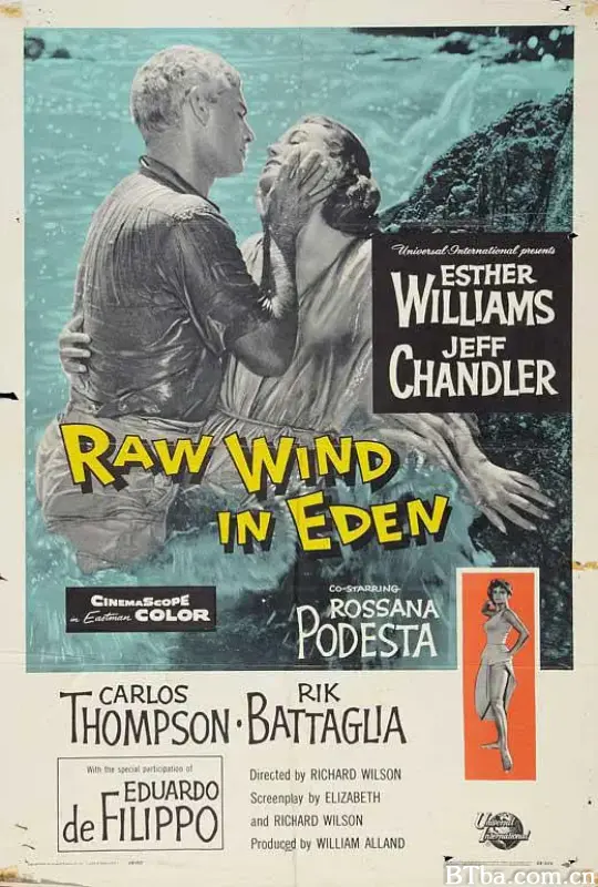 出水天鹅/Raw Wind in Eden