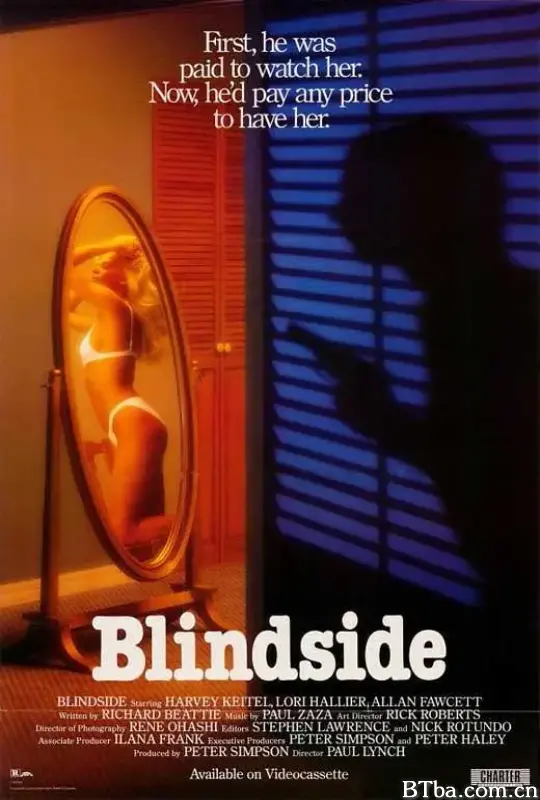 网中情/Blindside