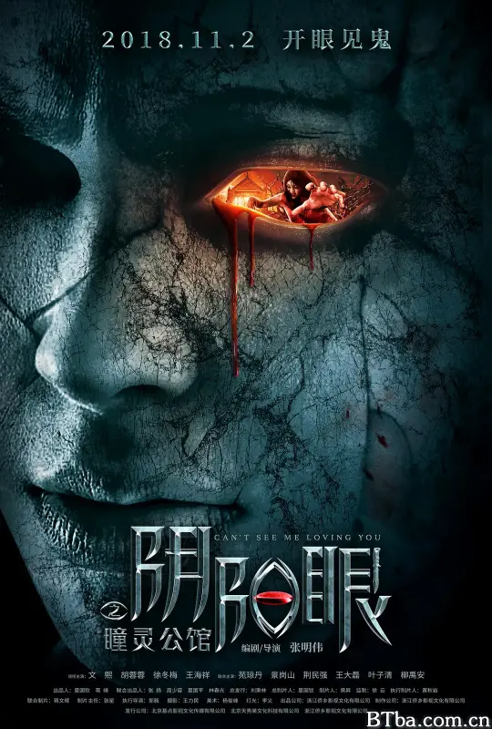 阴阳眼之瞳灵公馆