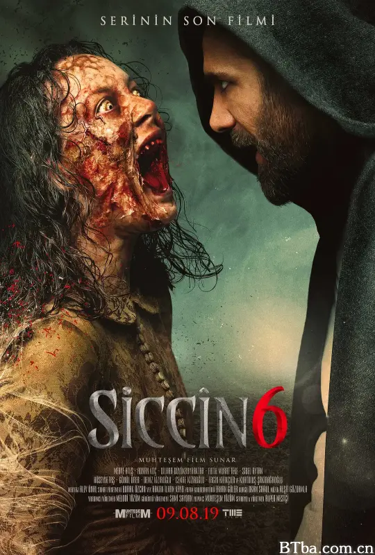 西辛6/Siccin 6