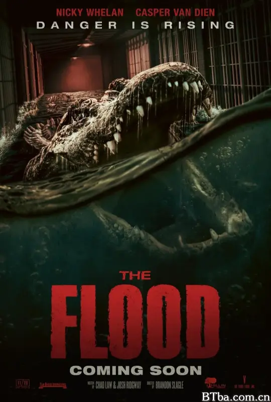 致命洪灾/The Flood