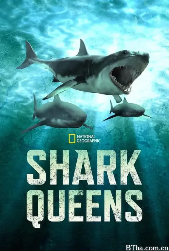 女王鲨/Shark Queens