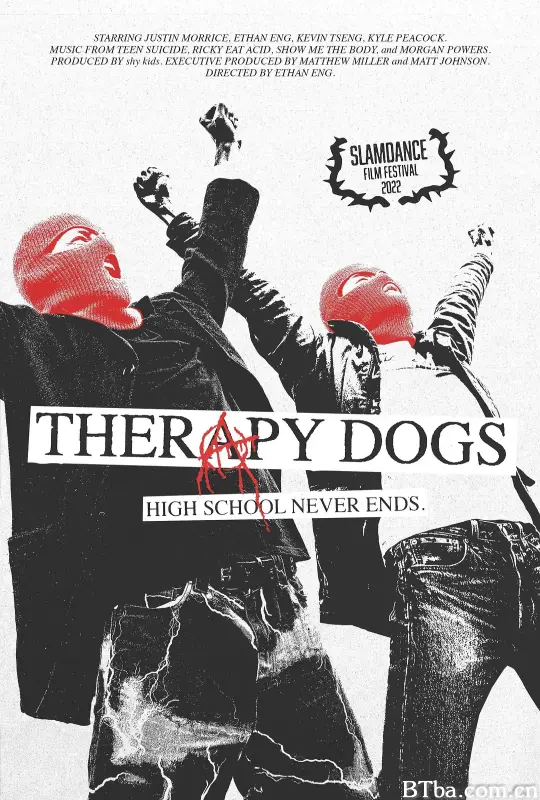 治疗犬/Therapy Dogs