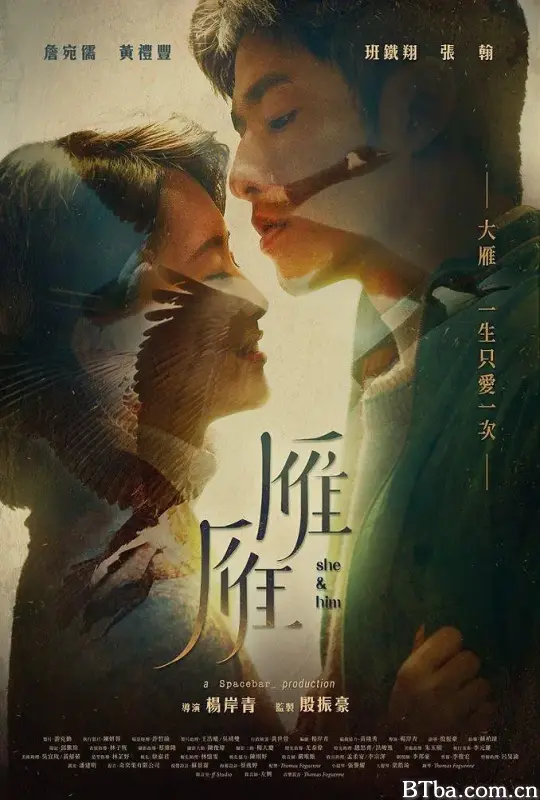 雁雁 (2018) 1080P/WEB-DL BT磁力 迅雷网盘下载