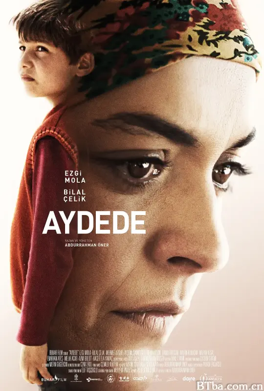 奔向月球/Aydede