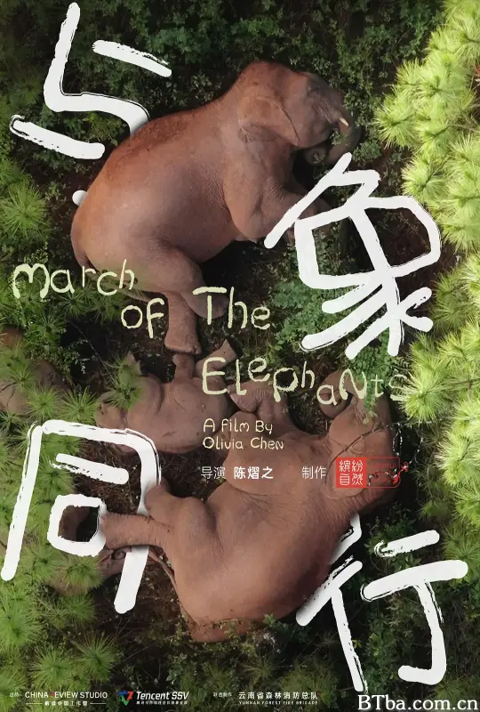 与象同行