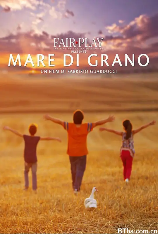托斯塔纳天堂/Mare di grano