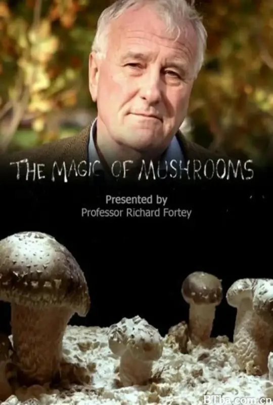 魔力蘑菇/The Magic of Mushrooms