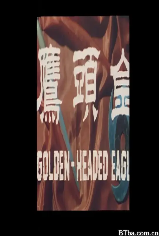 金头鹰/金頭鷹