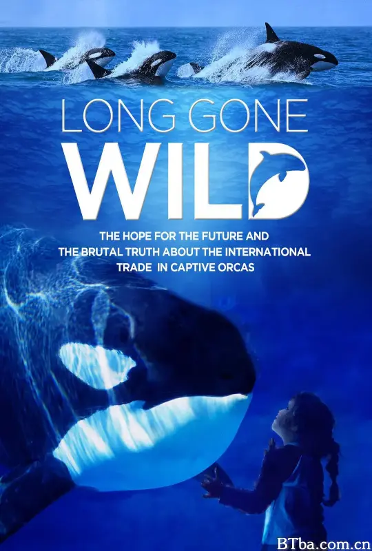 Long Gone Wild