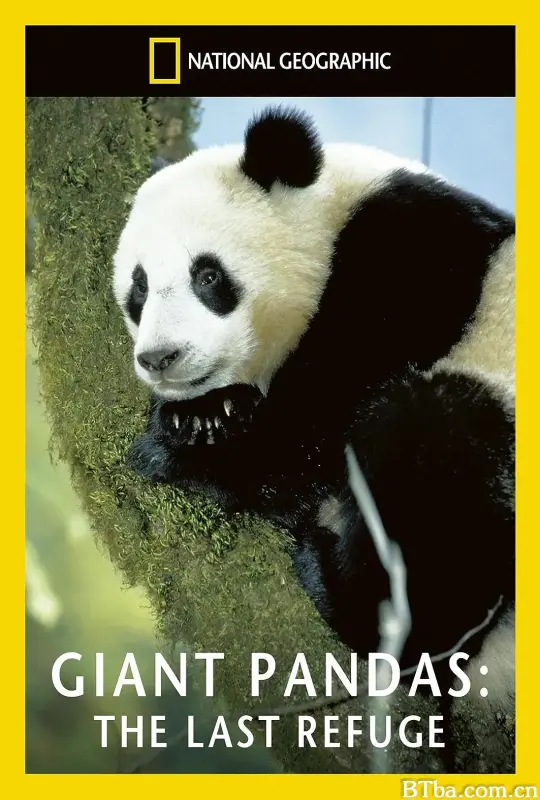 拯救大熊猫/Giant Pandas - The Last Refuge