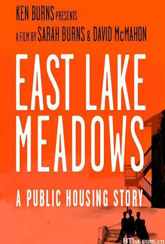东湖草地：一个关于公共住房的故事/East Lake Meadows: A Public Housing Story
