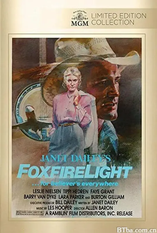 乡野恋/Foxfire Light