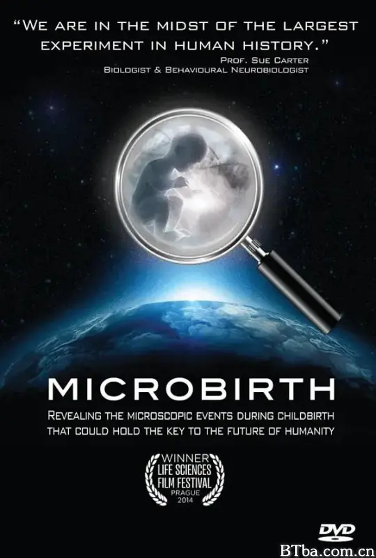 Microbirth (2014) 1080P/720P BT磁力 迅雷网盘下载