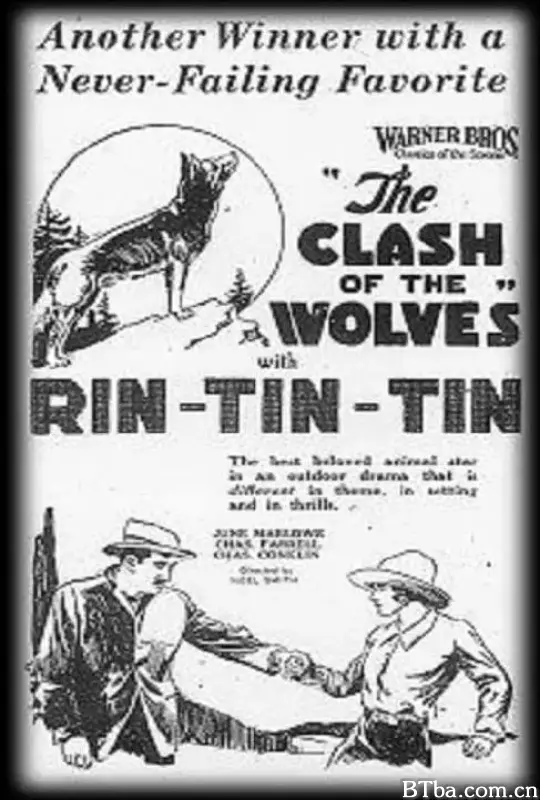 狼群的冲突/Clash of the Wolves