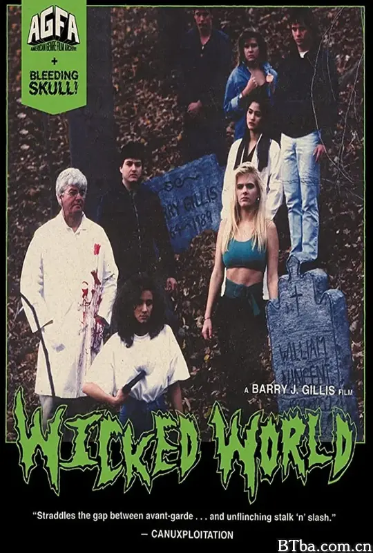 邪恶的世界/Wicked World
