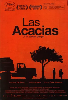 相思树/Las acacias