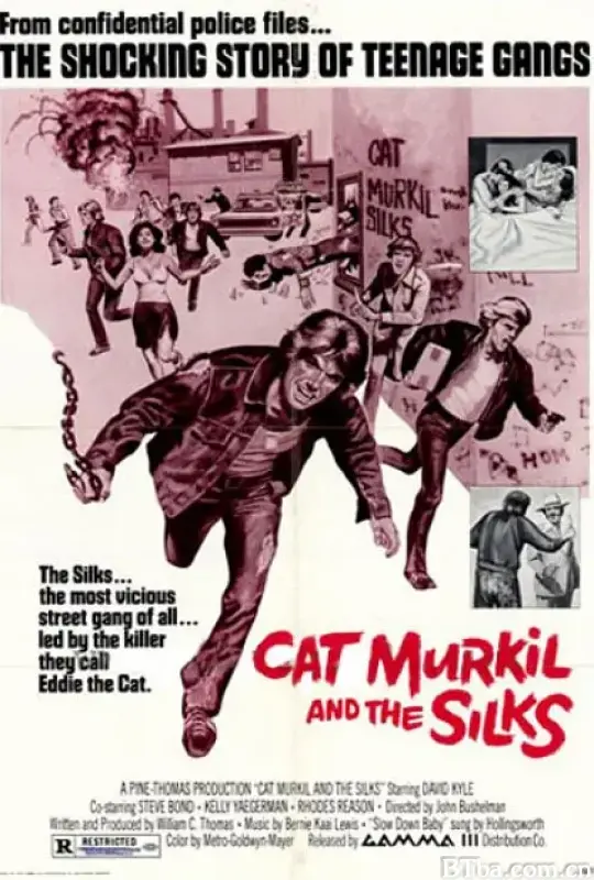 Cat Murkil and the Silks
