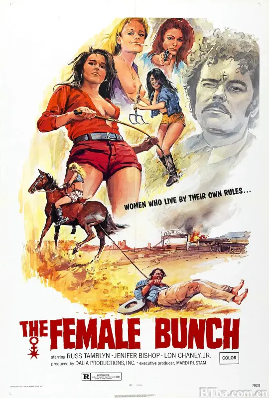 女群/The Female Bunch