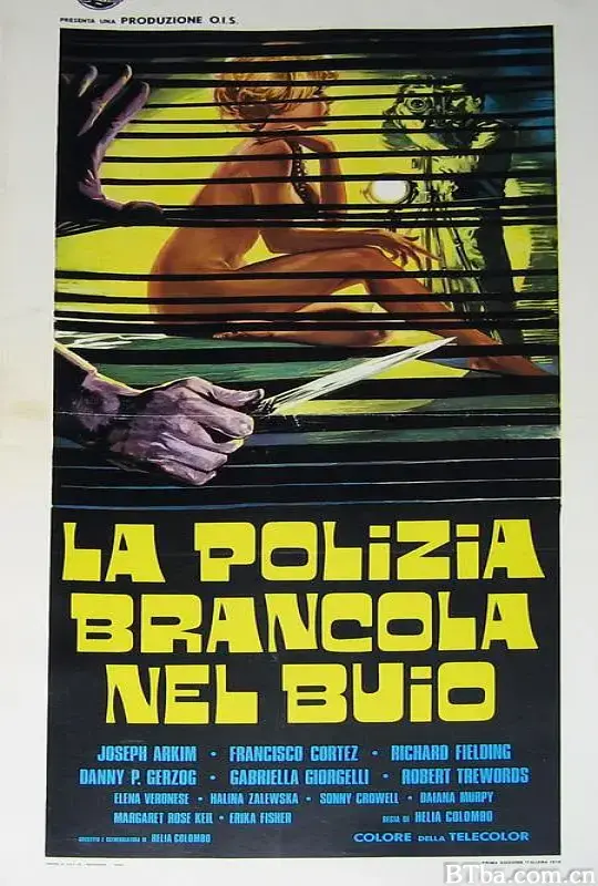 暗警/La polizia brancola nel buio