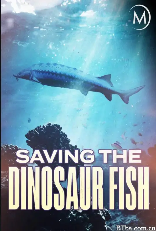 濒危远古大鱼/Saving the Dinosaur Fish