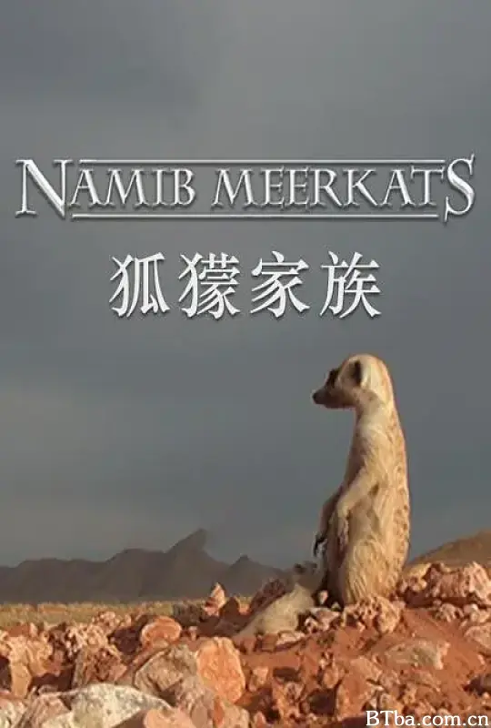 狐獴家族/Clan of the Meerkat
