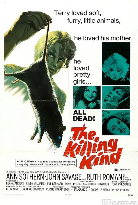 杀戮类型/The Killing Kind
