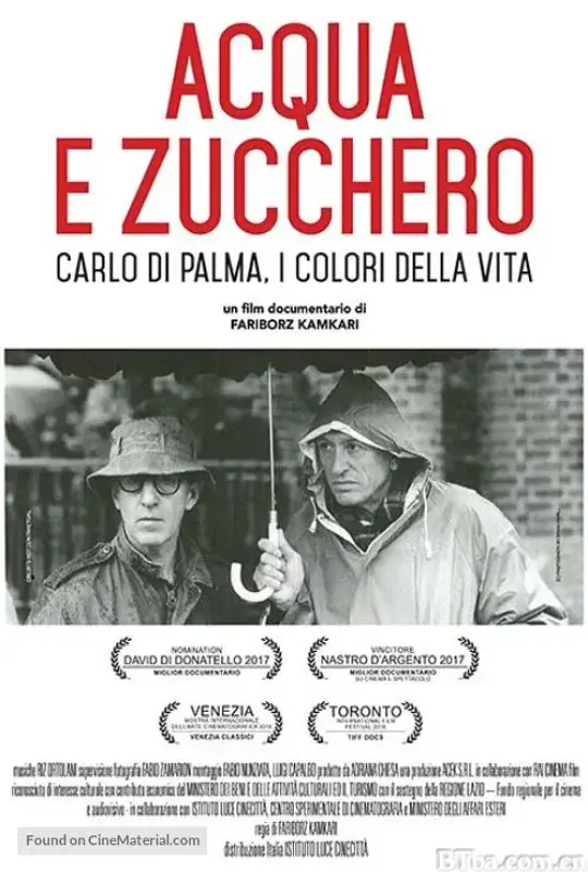 水与糖：摄影家卡洛·迪·帕尔马的生活与色彩 Acqua e zucchero: Carlo Di Palma, i colori della vita (2016) 1080P BT磁力 迅雷网盘下载-影音屋