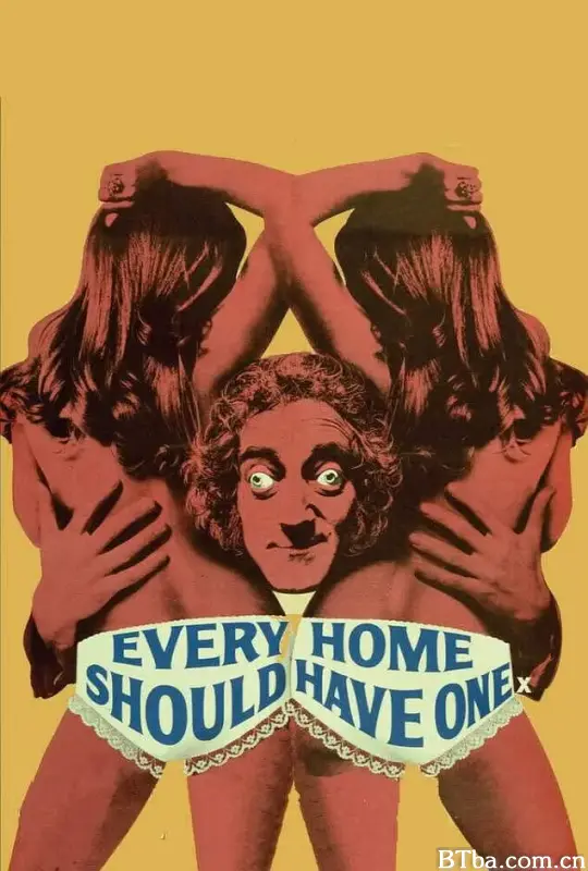 色情世界/Every Home Should Have One