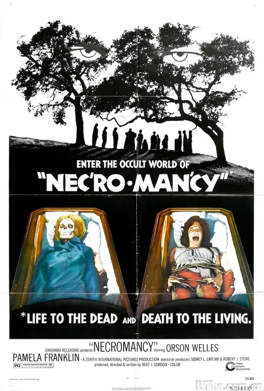 巫术惊魂/Necromancy