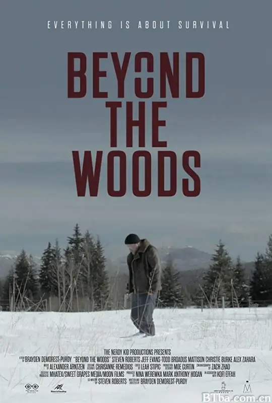 Beyond The Woods (2019) 1080P/WEB-DL BT磁力 迅雷网盘下载