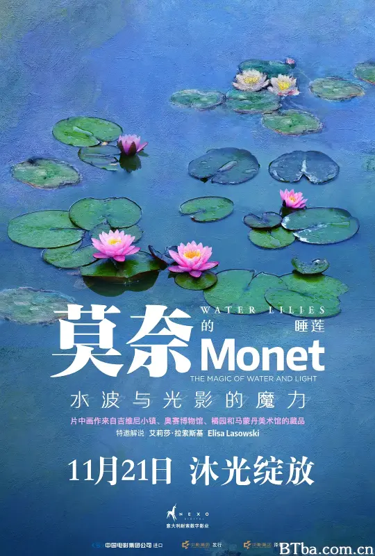 莫奈的睡莲：水波与光影的魔力/Water Lilies of Monet - The magic of water and light