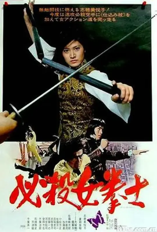 必杀女拳士/必殺女拳士