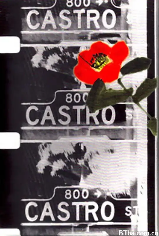 卡斯特罗街/Castro Street