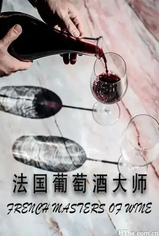 法国葡萄酒大师/French Masters of Wine
