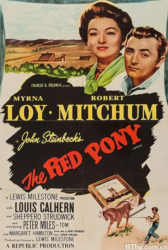 春晓大地/The Red Pony