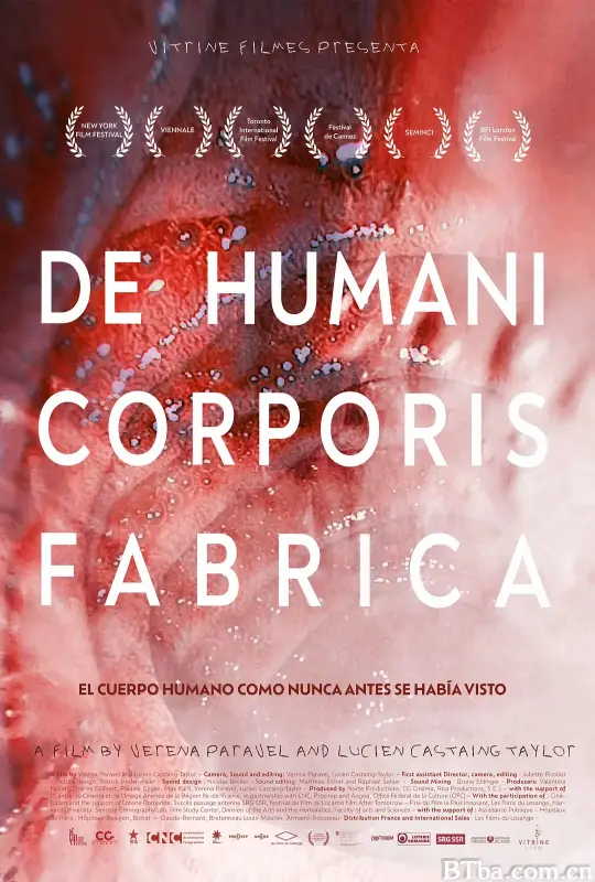 人体结构/De Humani Corporis Fabrica
