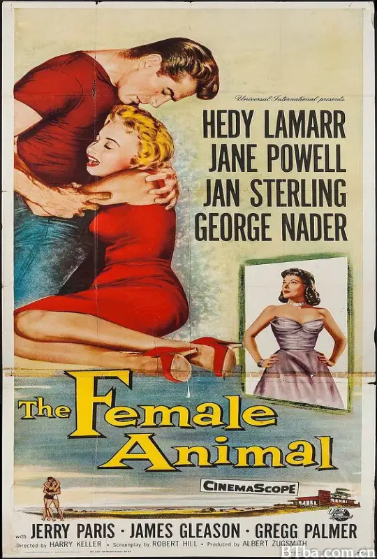 雌性动物/The Female Animal