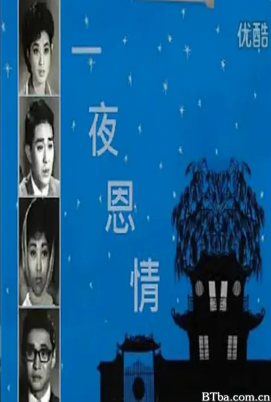 一夜恩情