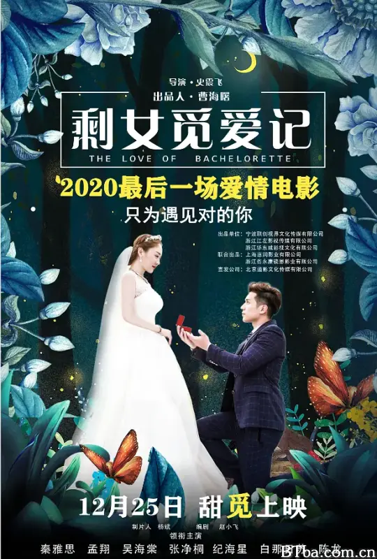 剩女觅爱记