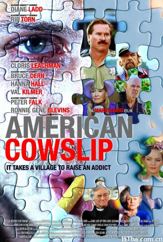美国樱草/American Cowslip