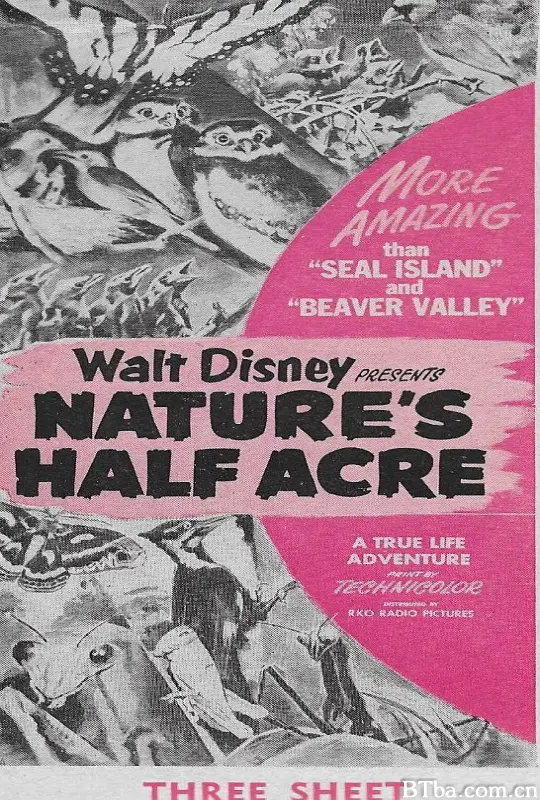 大自然的一隅/Nature's Half Acre
