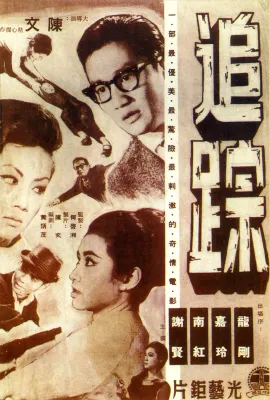 追踪