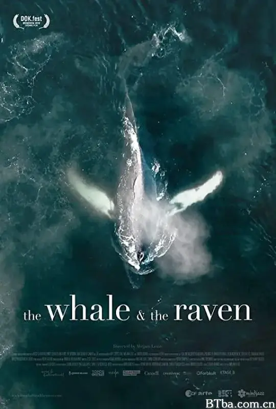 The Whale and the Raven (2019) 1080P/720P BT磁力 迅雷网盘下载