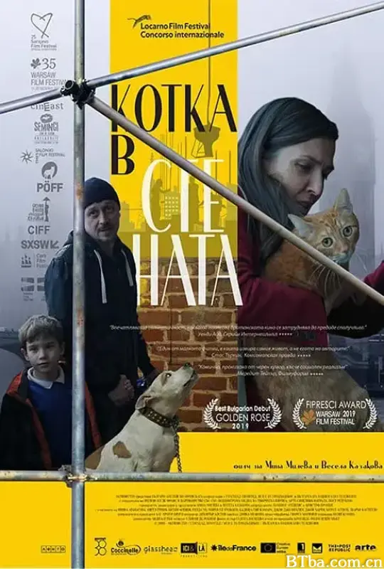 墙里的猫/Котка в стената