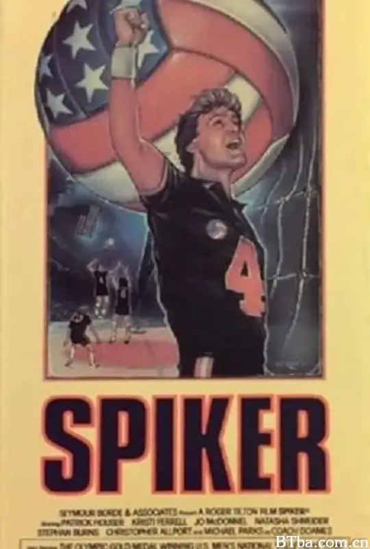 热血男排/Spiker