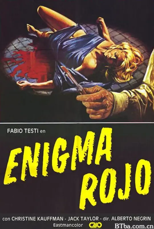 辣手大奸杀/Enigma rosso