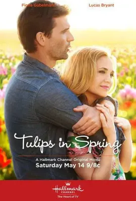 春天里的郁金香/Tulips in Spring