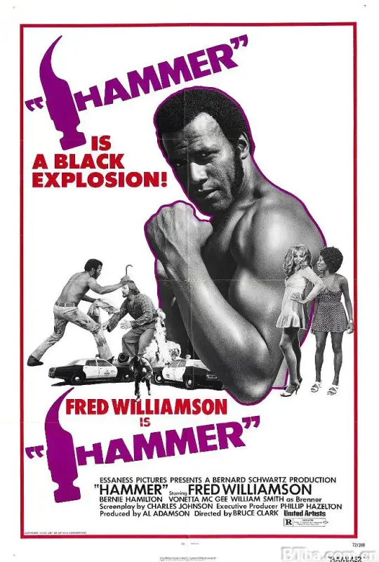 黑锤拳手/Hammer